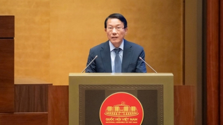 Tội phạm về trật tự xã hội giảm 12,18%, một số loại đặc biệt nguy hiểm giảm sâu